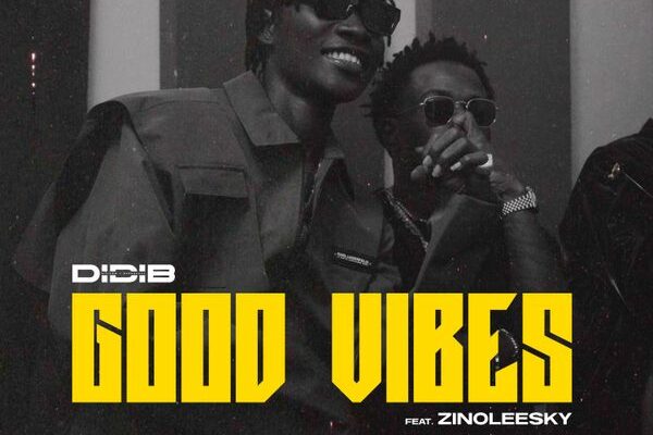 Didi B ft. Zinoleesky – Good Vibes